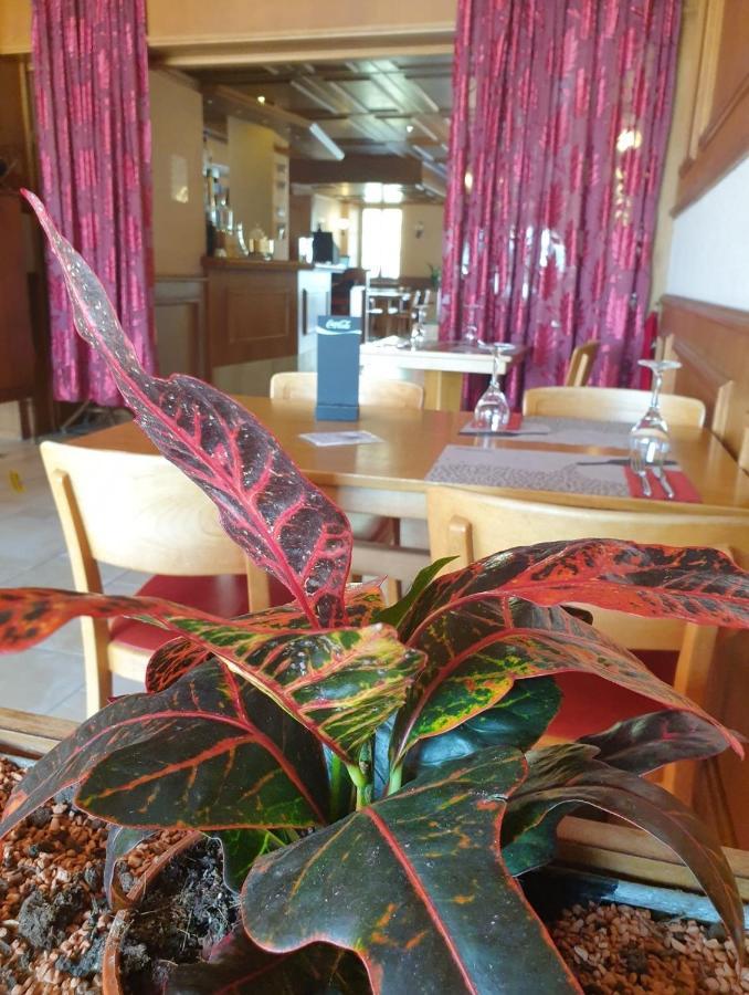 Hotel Lion D'Or Romont Luaran gambar